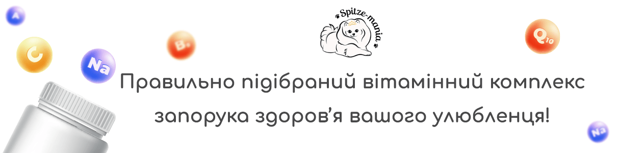Здоровий собака через правильно підібрані вітаміни