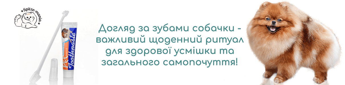 Здорові зуби собаки як результат правильного чищення зубів 